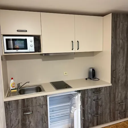 Apartman Obzor Železná Ruda