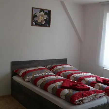 Obzor Železná Ruda