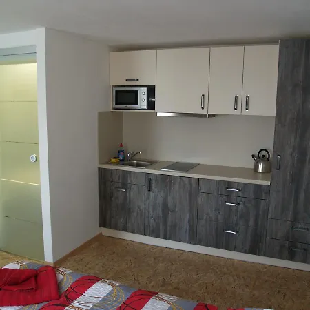 Apartment Obzor Zelezna Ruda