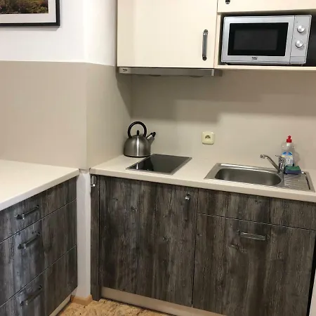 Apartment Obzor Zelezna Ruda