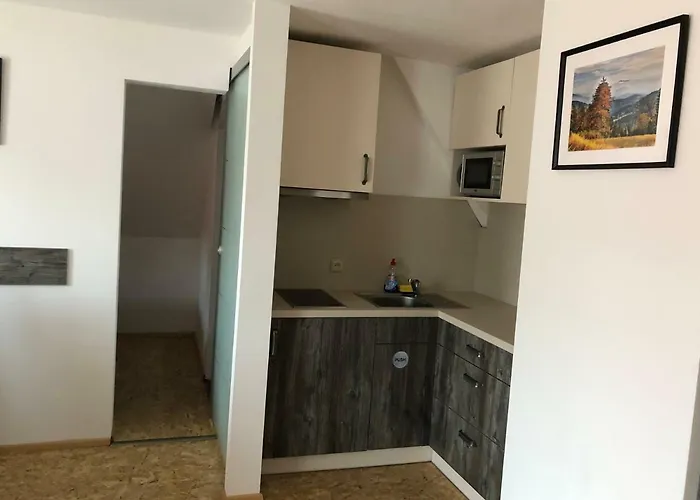Obzor Appartement Železná Ruda