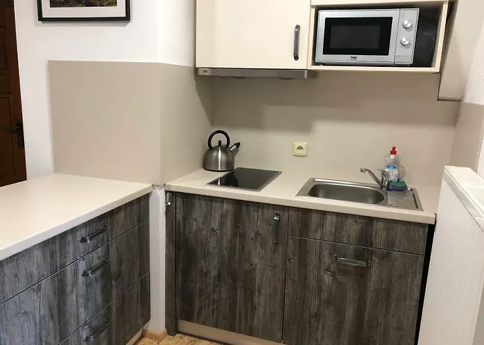 Appartement Obzor Železná Ruda